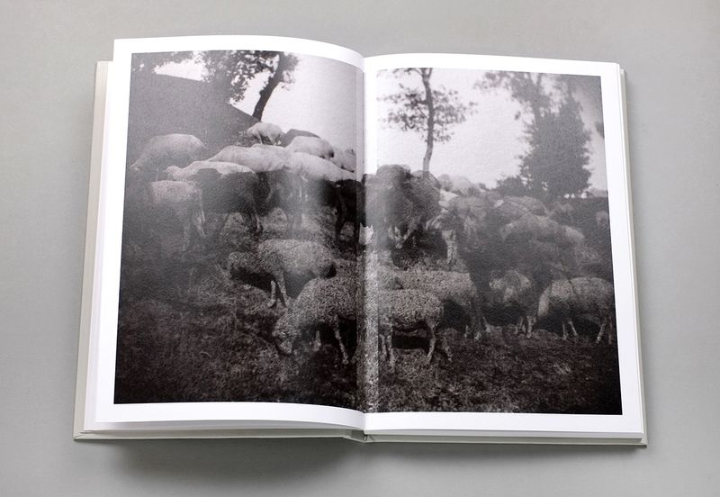 © Fw:Books - Image from the Album by Nicola Nunziata photography project