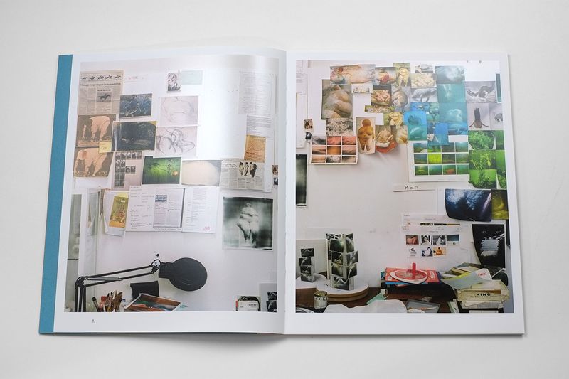© Fw:Books - Image from the Miss cox by Mariken Wessels photography project