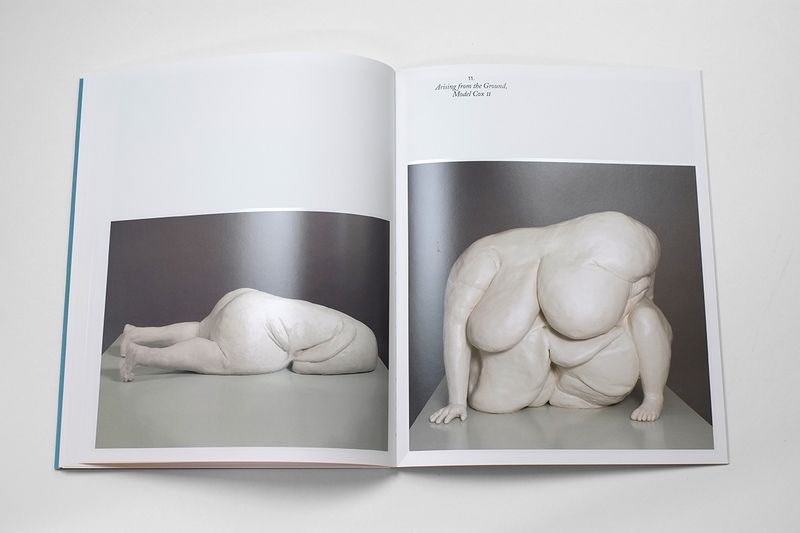 © Fw:Books - Image from the Miss cox by Mariken Wessels photography project