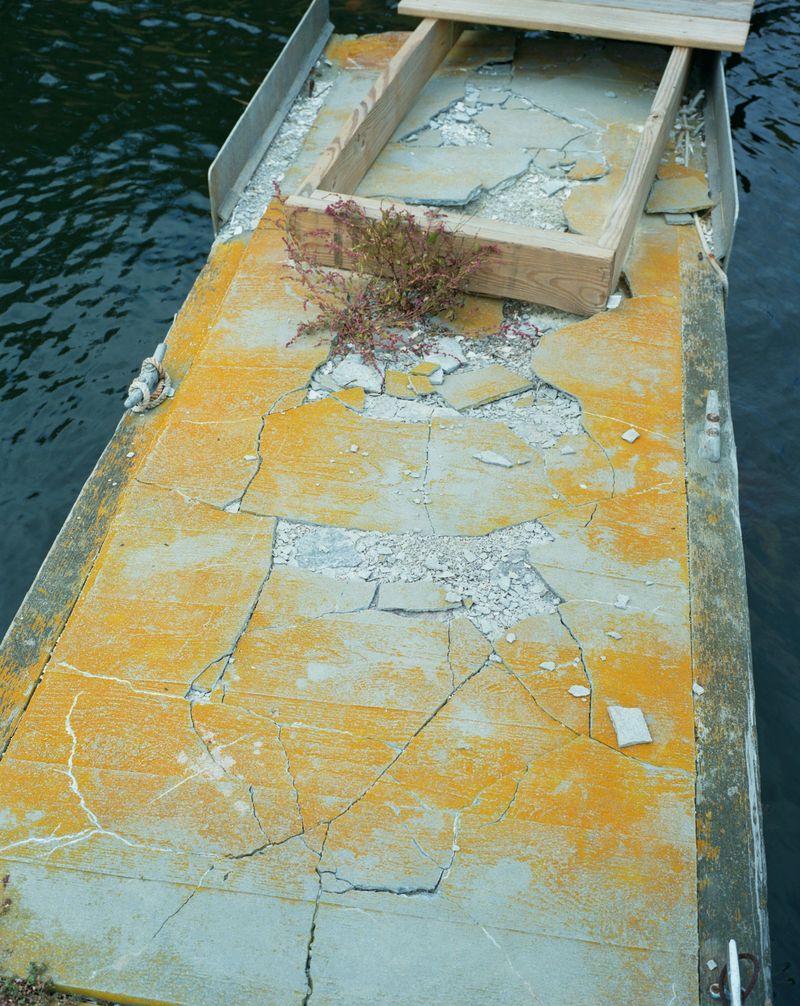 © Tria Giovan - Into White Fluttering Ash, 2008