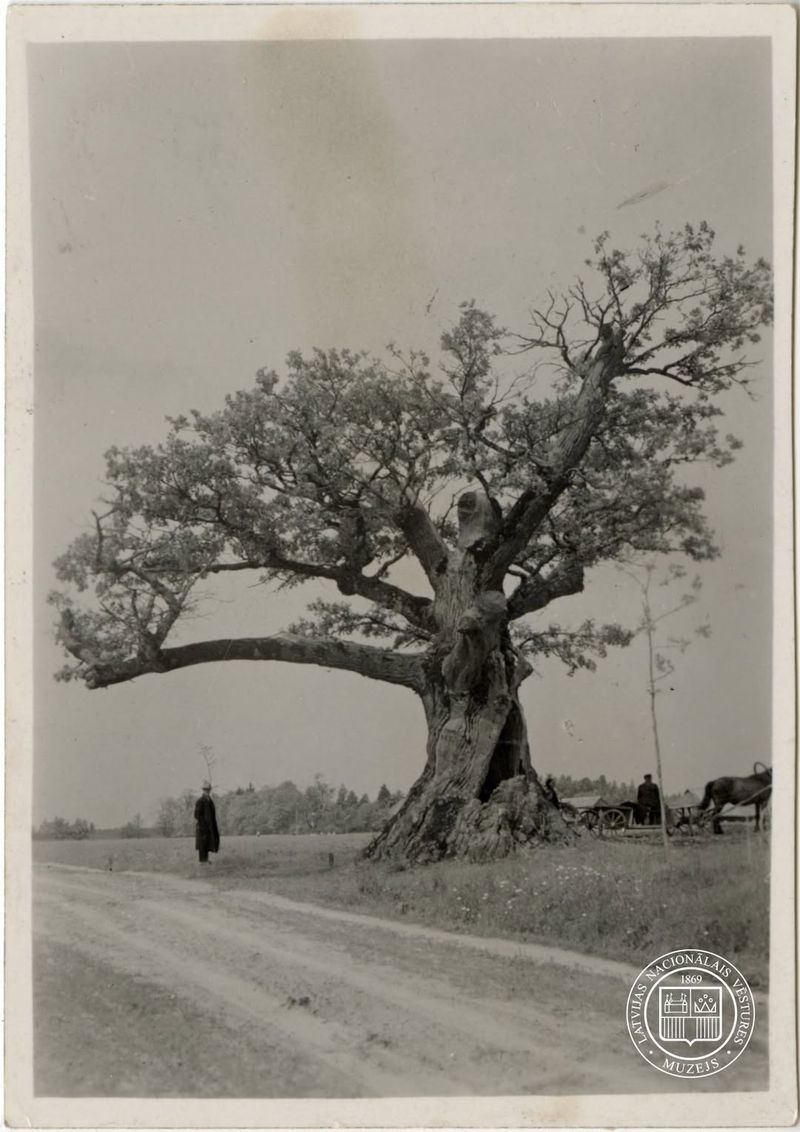 © Kenny Ros - Image from the What grows from the things you've lost? photography project