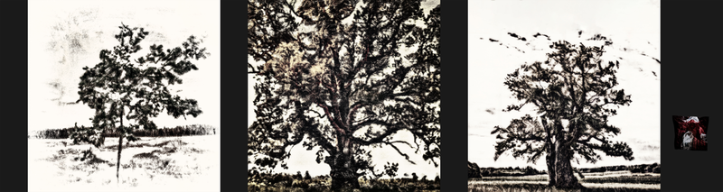 © Kenny Ros - Image from the What grows from the things you've lost? photography project