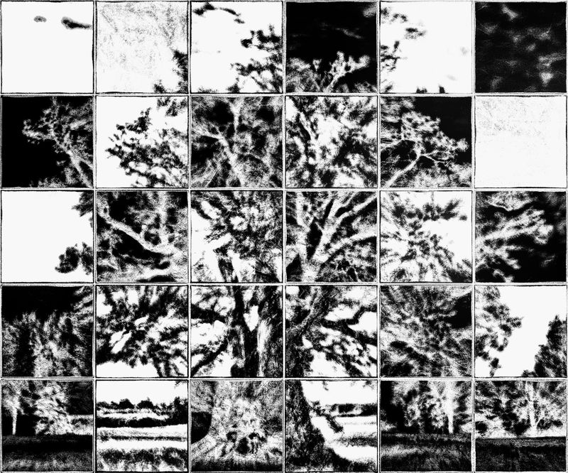 © Kenny Ros - Image from the What grows from the things you've lost? photography project