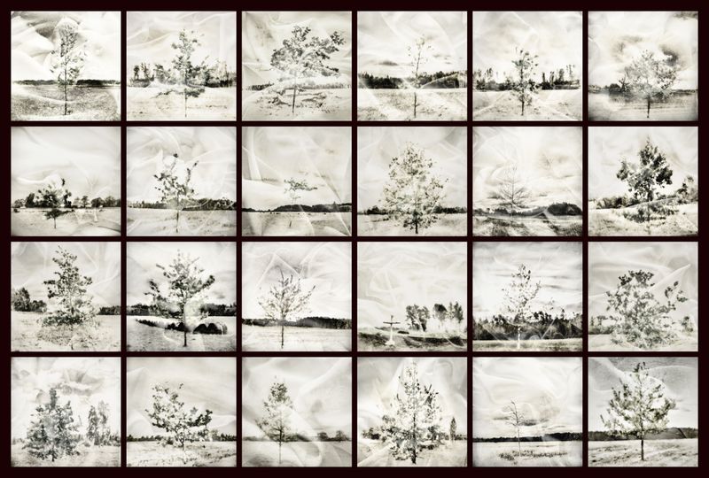 © Kenny Ros - Image from the What grows from the things you've lost? photography project