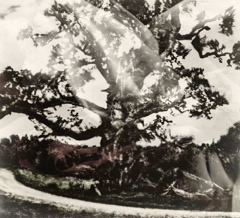 © Kenny Ros - Image from the What grows from the things you've lost? photography project