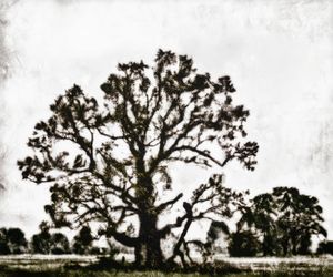 What grows from the things you've lost?