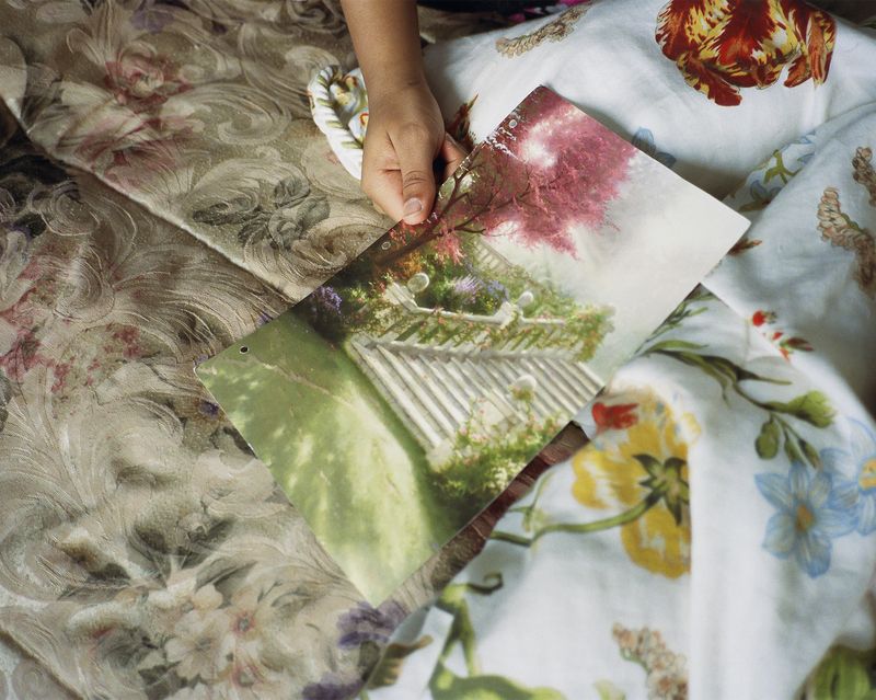 © Nadiya I. Nacorda - Image from the All the Orchids are Fine photography project