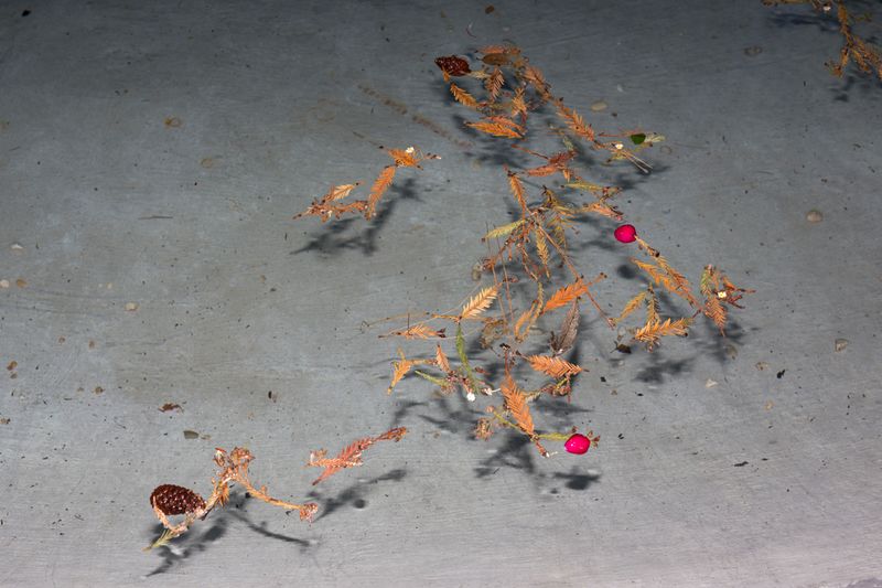 © Santolo Felaco - Image from the CAPUT MUNDI photography project