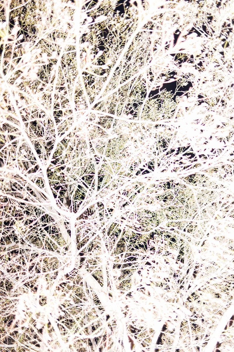 © Santolo Felaco - Image from the CAPUT MUNDI photography project