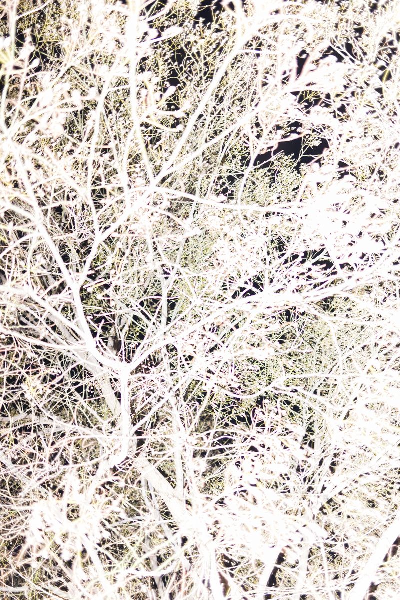 © Santolo Felaco - Image from the CAPUT MUNDI photography project