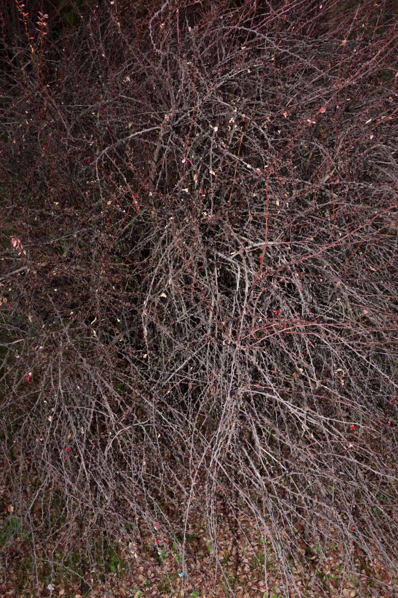 © Santolo Felaco - Image from the CAPUT MUNDI photography project