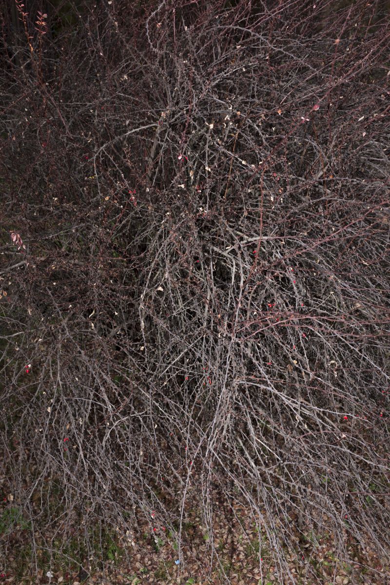 © Santolo Felaco - Image from the CAPUT MUNDI photography project