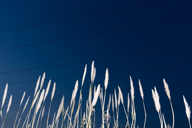 © Santolo Felaco - Image from the CAPUT MUNDI photography project