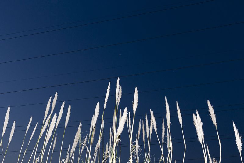 © Santolo Felaco - Image from the CAPUT MUNDI photography project