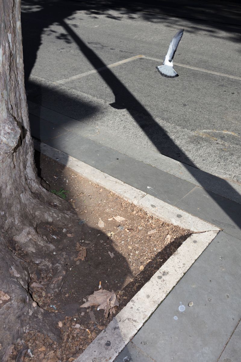 © Santolo Felaco - Image from the CAPUT MUNDI photography project