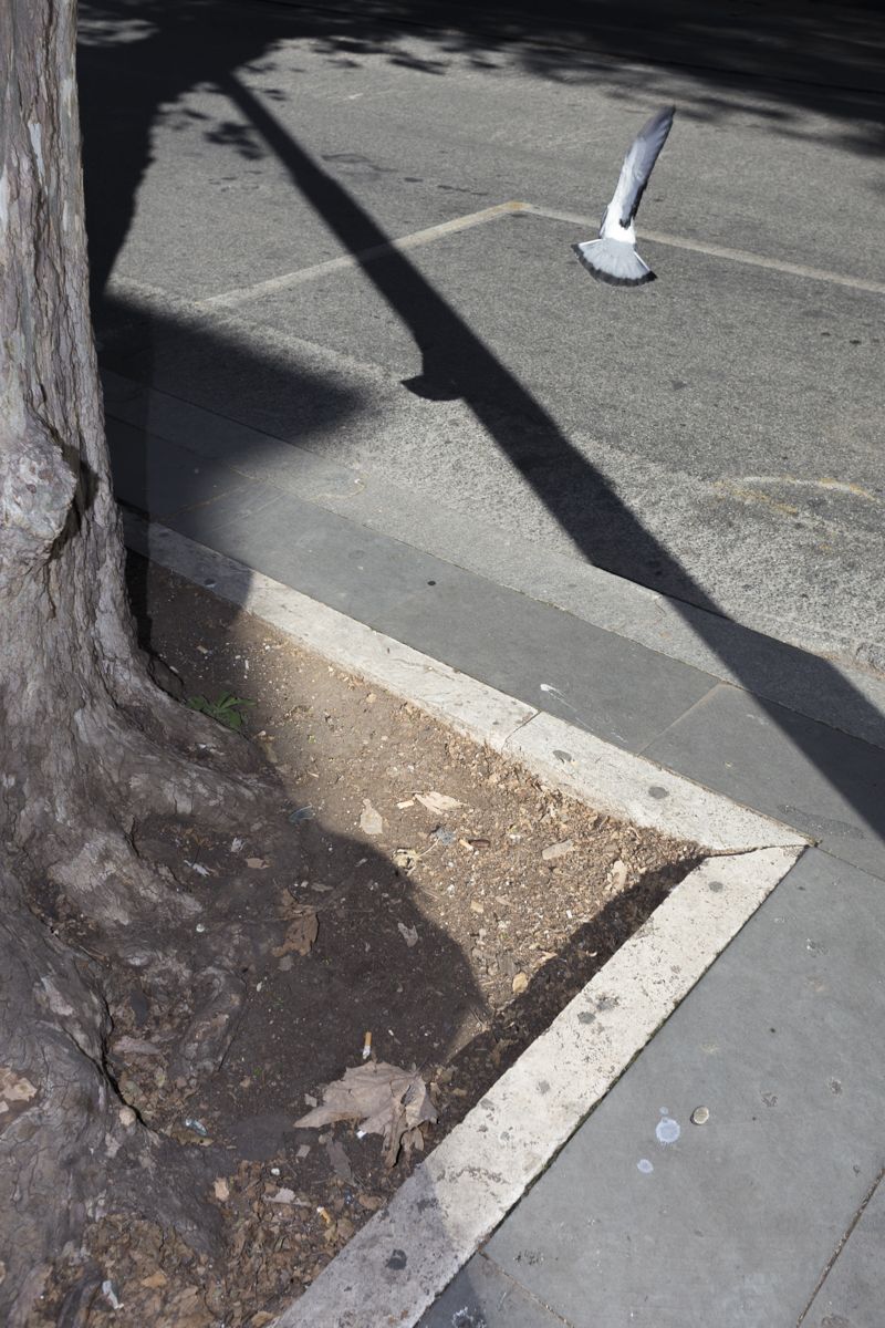 © Santolo Felaco - Image from the CAPUT MUNDI photography project