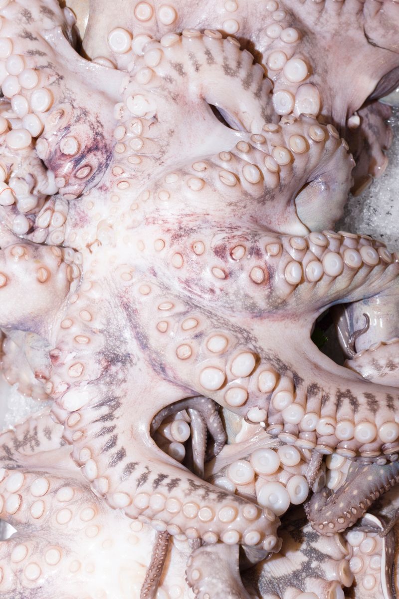 © Santolo Felaco - Image from the CAPUT MUNDI photography project