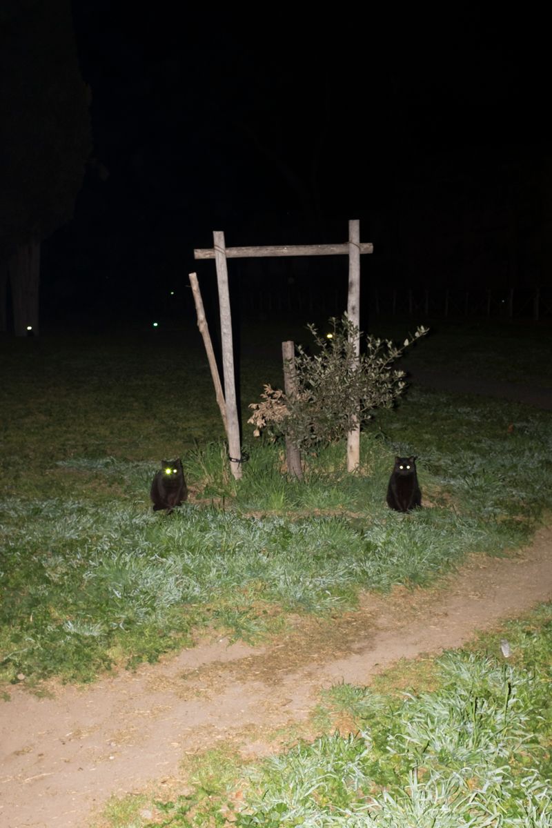 © Santolo Felaco - Image from the CAPUT MUNDI photography project