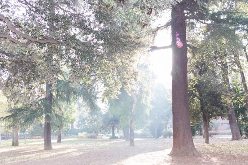 © Santolo Felaco - Image from the CAPUT MUNDI photography project