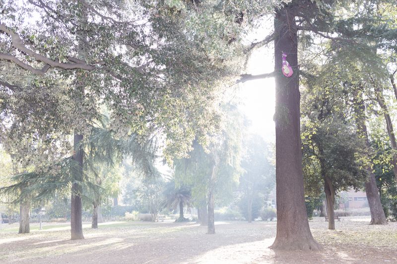© Santolo Felaco - Image from the CAPUT MUNDI photography project