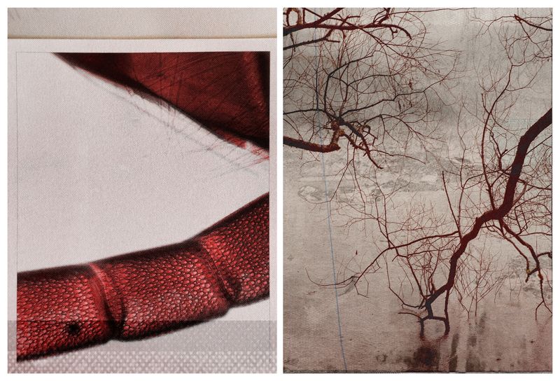 © Arrayah Loynd - The anatomy of grief