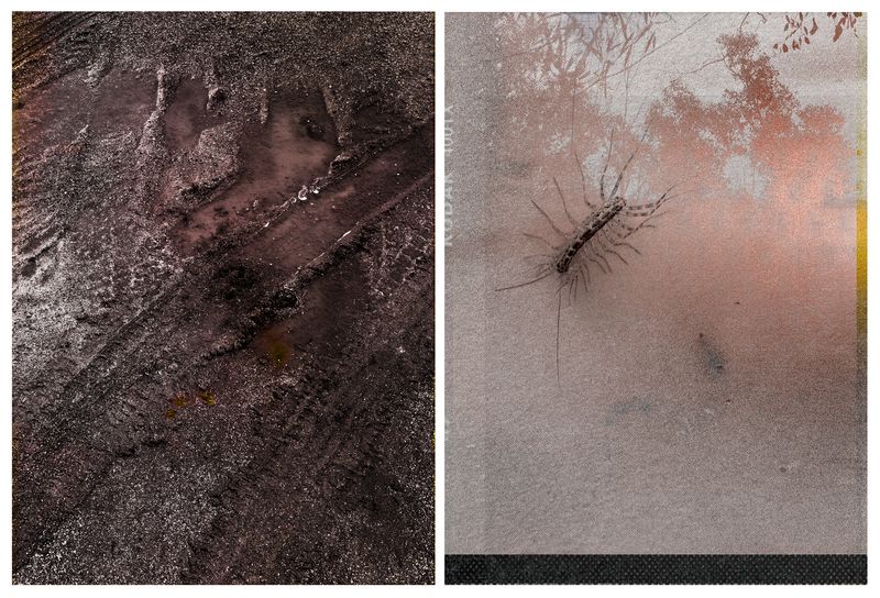 © Arrayah Loynd - Like wading through mud