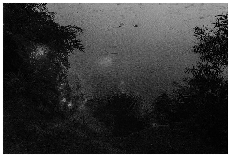 © Arrayah Loynd - Drowning, not waving