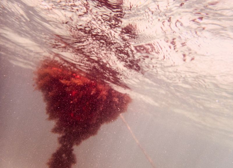 © Arrayah Loynd - Image from the All Roads Lead to Salvation photography project