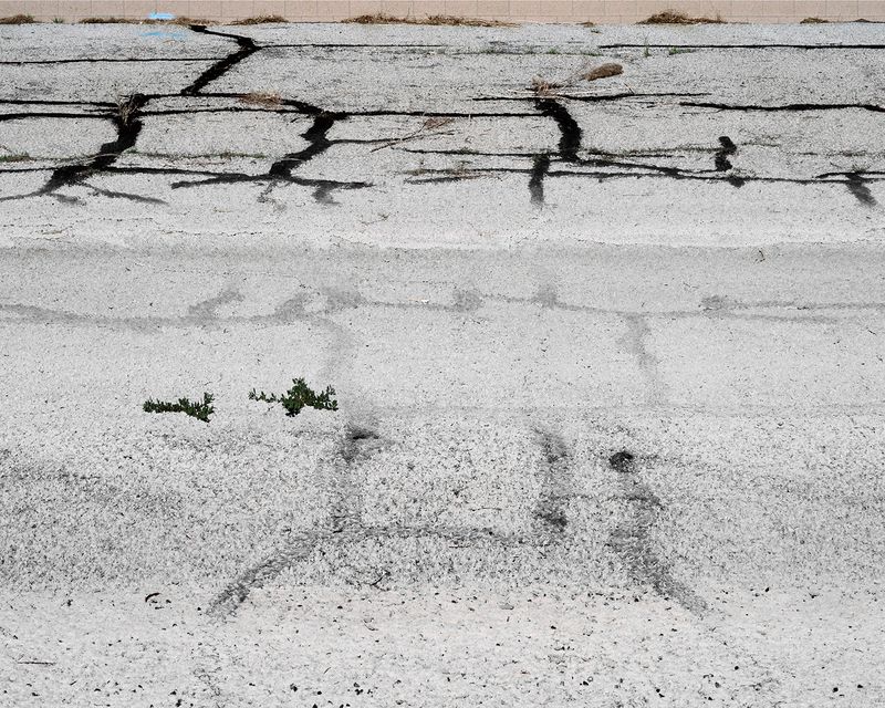 © BRAD TEMKIN - Image from the Here It Is, Take It! photography project