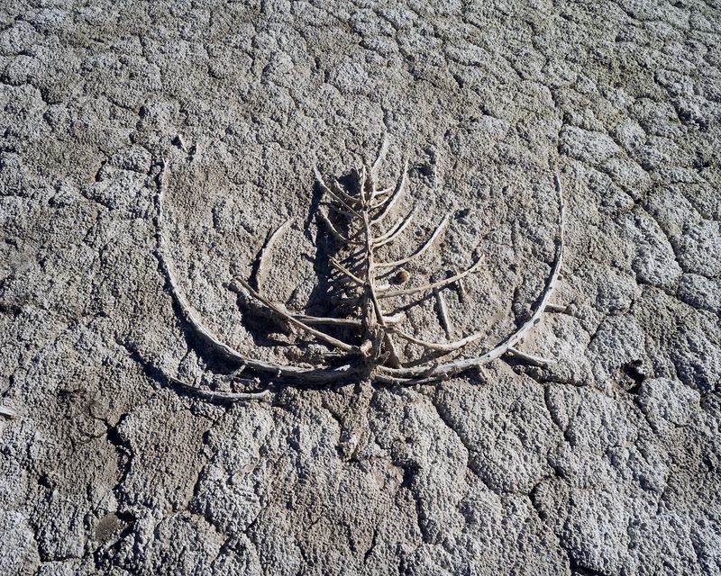 © BRAD TEMKIN - Image from the Here It Is, Take It! photography project