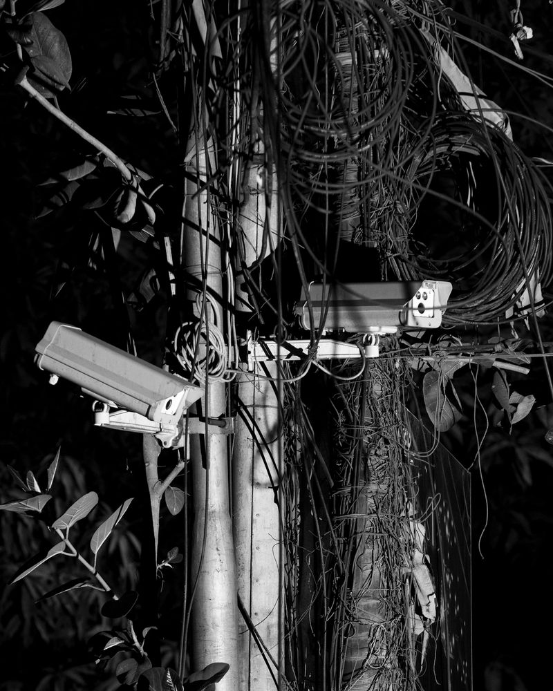 © Sounak Das - Image from the Wire Formation photography project