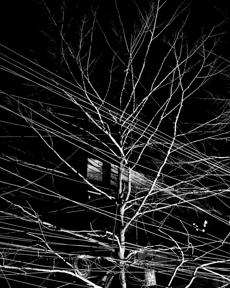 © Sounak Das - Image from the Wire Formation photography project