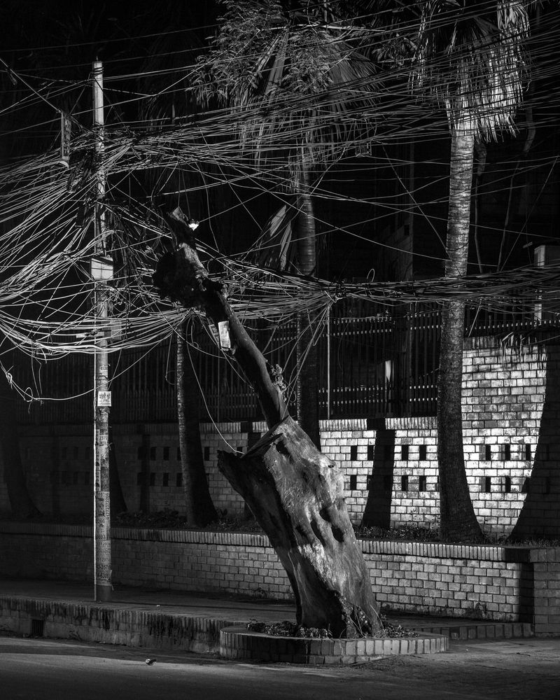 © Sounak Das - Image from the Wire Formation photography project