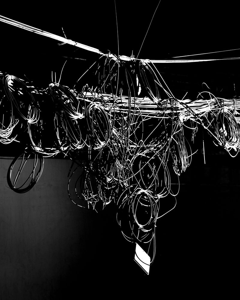 © Sounak Das - Image from the Wire Formation photography project