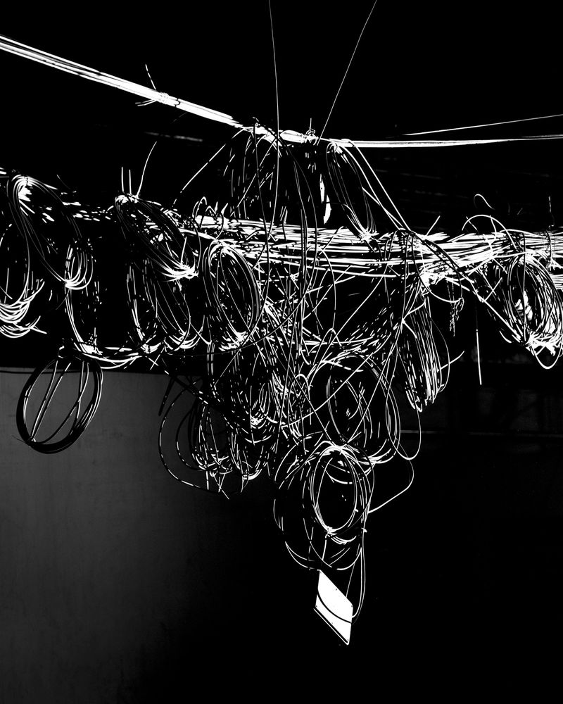 © Sounak Das - Image from the Wire Formation photography project