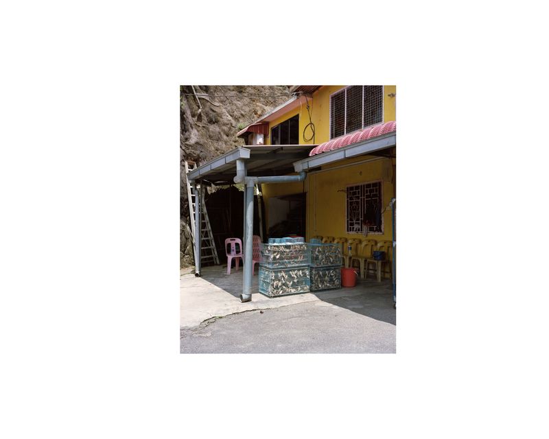 © Nicholas Constant - Image 14: Caged Birds