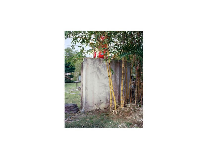 © Nicholas Constant - Image 2: Temple Garden