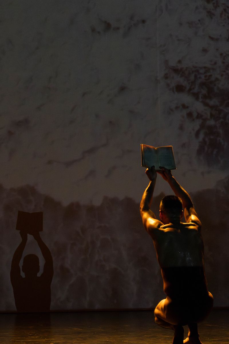 © Carlos Pereyra - Image from the An accidental approach to dance. photography project