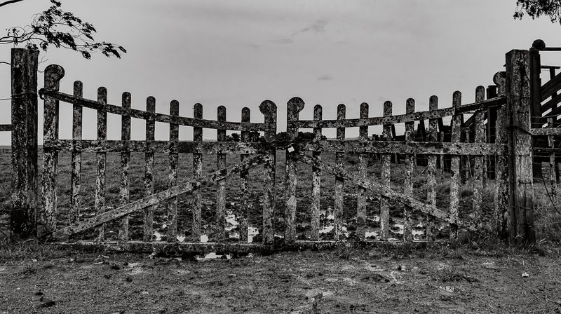 © Carlos Pereyra - Image from the Rocha on my mind photography project