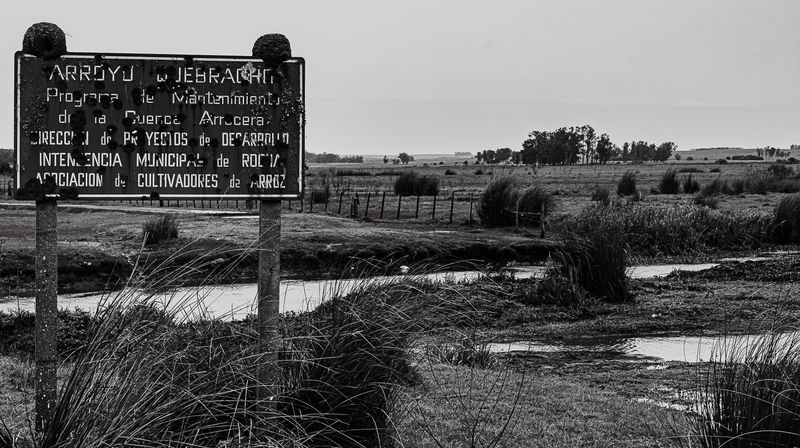 © Carlos Pereyra - Image from the Rocha on my mind photography project