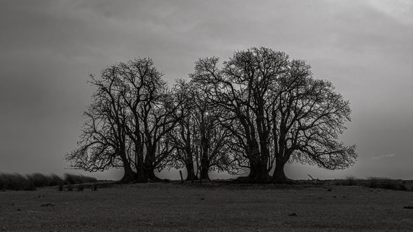 © Carlos Pereyra - Image from the Rocha on my mind photography project