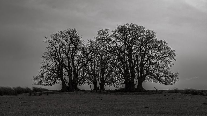 © Carlos Pereyra - Image from the Rocha on my mind photography project