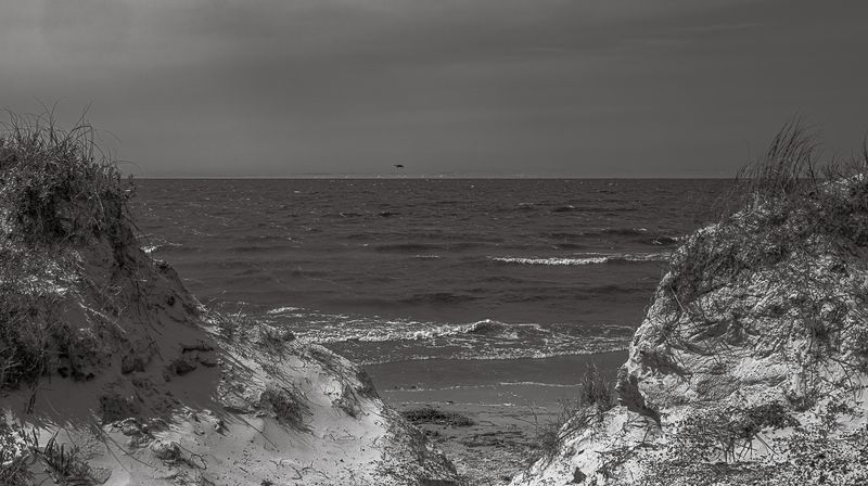 © Carlos Pereyra - Image from the Rocha on my mind photography project