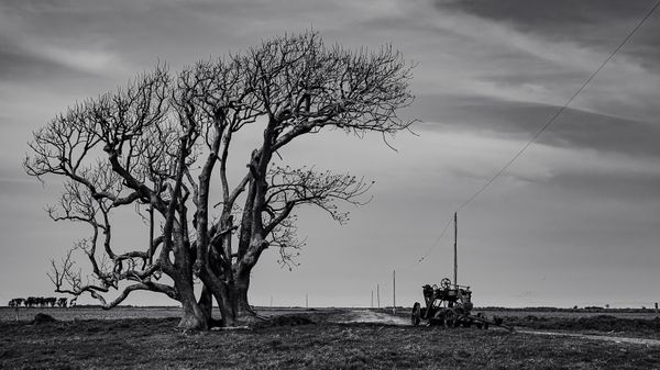 © Carlos Pereyra - Image from the Rocha on my mind photography project