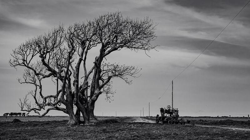 © Carlos Pereyra - Image from the Rocha on my mind photography project