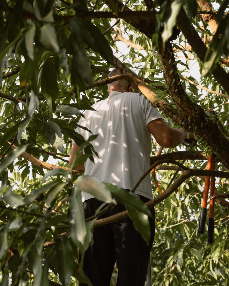 © Yakob-Aziz König - Image from the The Burning of the Mango Leaves photography project