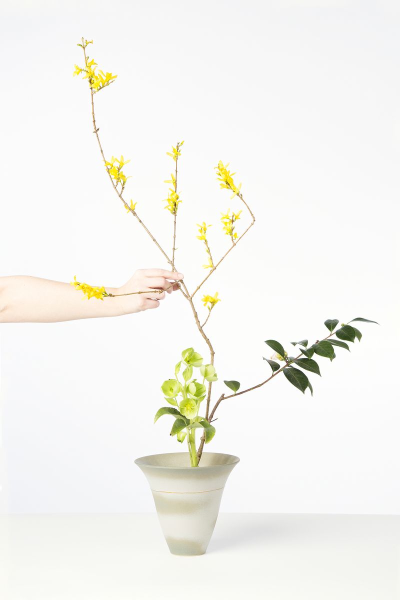 © Monica Takvam - Image from the The Way of Flowers photography project