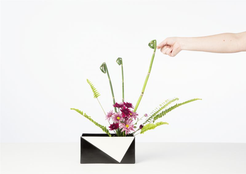 © Monica Takvam - Image from the The Way of Flowers photography project