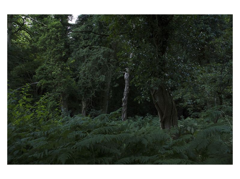 © Monica Takvam - Vista 12 from Fieldwork and Other Landscape Stories, Archival C-type photographic print, wooden box frame