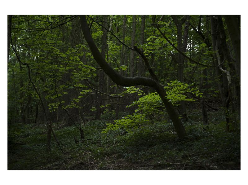 © Monica Takvam - Vista 3 from Fieldwork and Other Landscape Stories, Archival C-type photographic print, wooden box frame